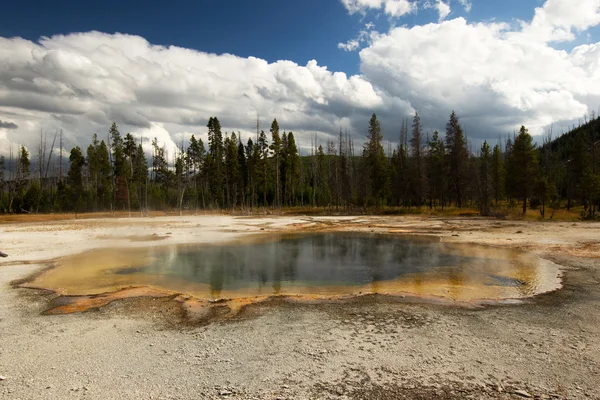 Parque Nacional Yellowstone, Utah, EE.UU. — Foto de Stock