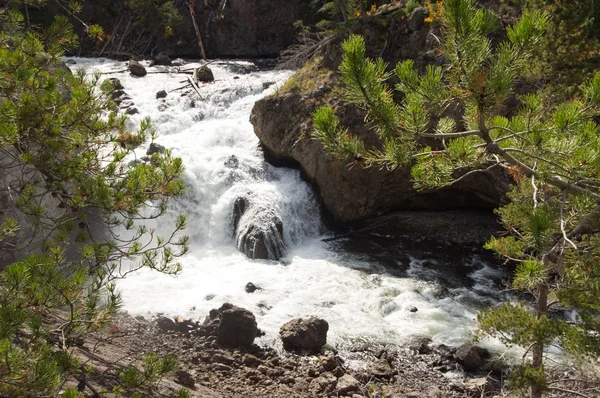 Yellowstonský národní park, utah, usa — Stock fotografie