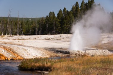 Yellowstone Milli Parkı, utah, ABD