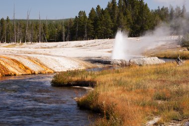 Yellowstone Milli Parkı, utah, ABD
