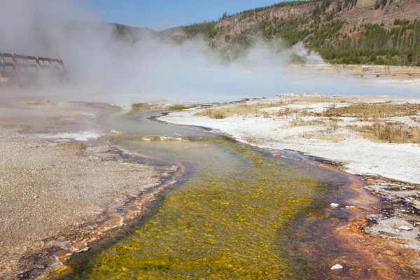 Parque Nacional Yellowstone, Utah, EE.UU. — Foto de Stock