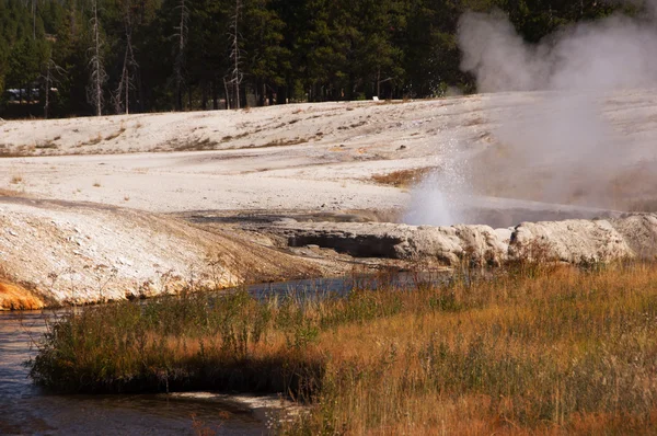 Parque Nacional Yellowstone, Utah, EE.UU. — Foto de Stock