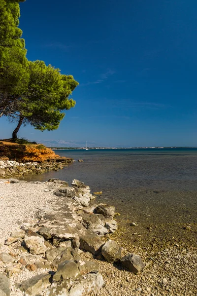 Insel vir, Kroatien — Stockfoto