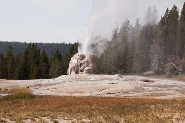 Yellowstone national park, utah, Stany Zjednoczone Ameryki — Zdjęcie stockowe