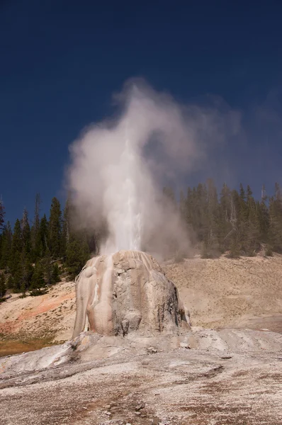 Yellowstone Nationalpark, utah, Vereinigte Staaten — Stockfoto