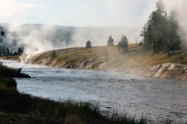 Yellowstonen kansallispuisto, Utah, Yhdysvallat — kuvapankkivalokuva