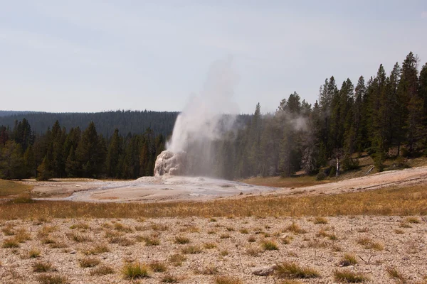 Parque Nacional Yellowstone, Utah, EE.UU. — Foto de Stock