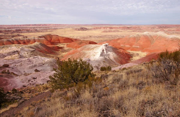 Petrified-Forest-National-Park, Arizona, EUA — Fotografia de Stock