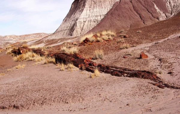 Petrified-Forest-National-Park, Arizona, EUA — Fotografia de Stock