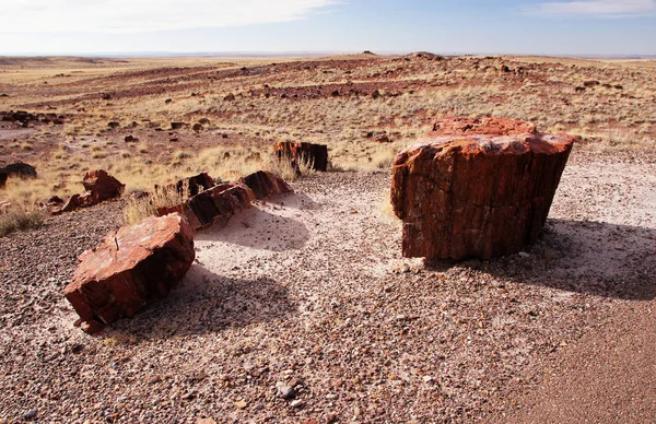 Petrified-Forest-National-Park, Arizona, USA — Stock Photo, Image