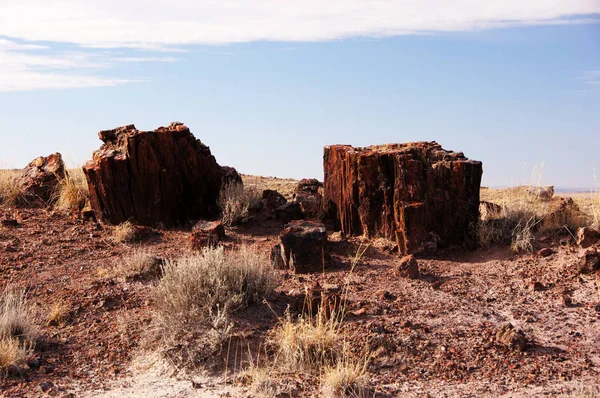 Petrified-Forest-National-Park, Arizona, EE.UU. — Foto de Stock