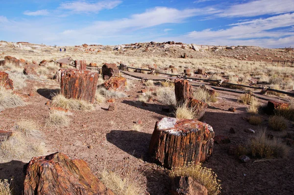 Petrified-Forest-National-Park, Arizona, EE.UU. — Foto de Stock