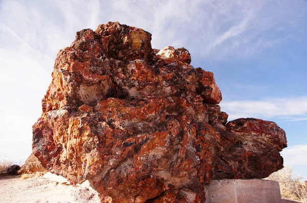 Petrified-Forest-National-Park, Arizona, EE.UU. — Foto de Stock