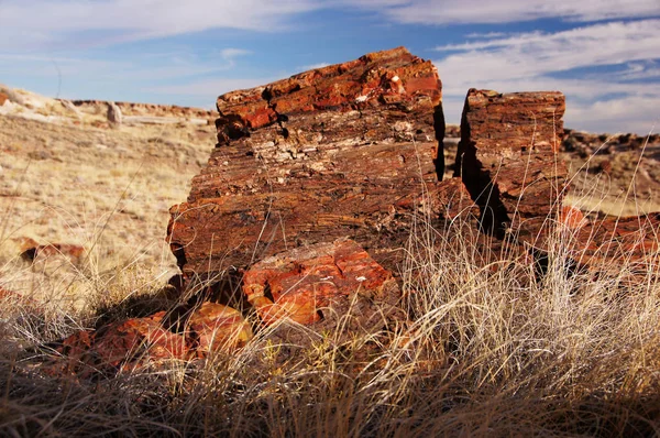 Petrified-Forest-National-Park, Arizona, EE.UU. — Foto de Stock
