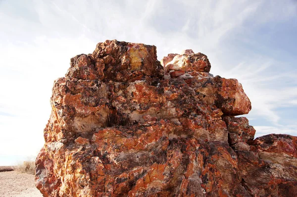 Petrified-Forest-National-Park, Arizona, USA — Stock Photo, Image