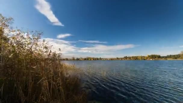 Lake Obinger, Bavyera, Almanya — Stok video