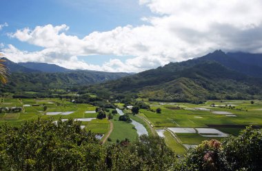 Hawaii, Amerika Birleşik Devletleri