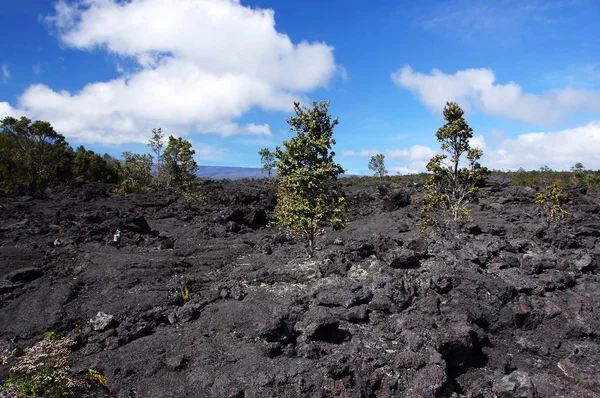 Láva na Hawaii, Spojené státy americké — Stock fotografie