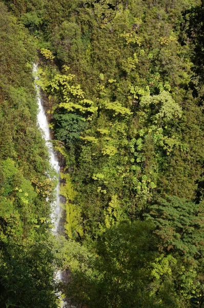 Hawaii, Estados Unidos de América — Foto de Stock