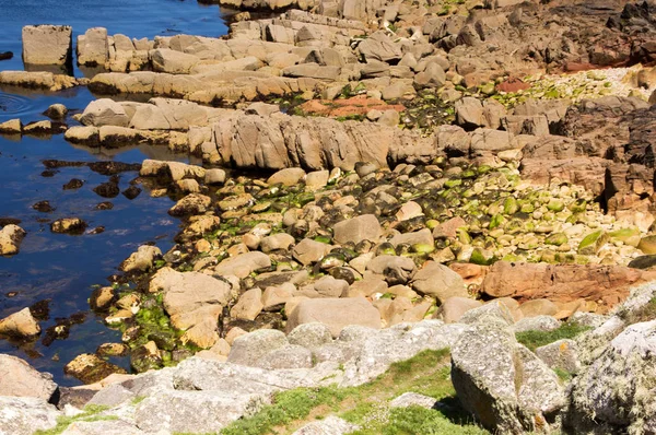 Scilly Isles, Gran Bretaña —  Fotos de Stock