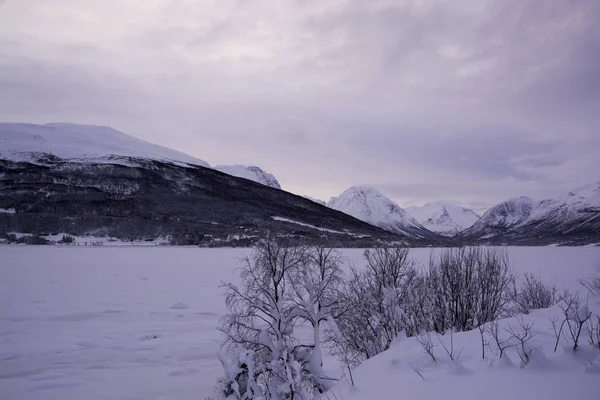 Sorkjosleira Fjord, Troms, Norway — Stok fotoğraf