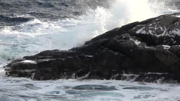 Slow motion breaking of waves — Stock Video