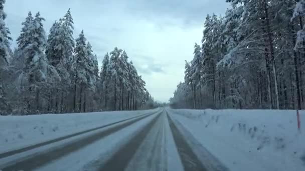 Rijden op de E6 richting naar Narwik, Noorwegen — Stockvideo