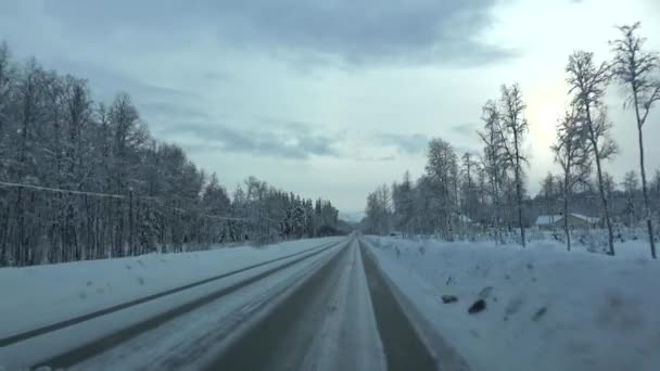 Conduire à l'E6 direction Narwik, Norvège — Video