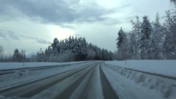 Drive at the E6 direction to Narwik, Norway — Stock Video