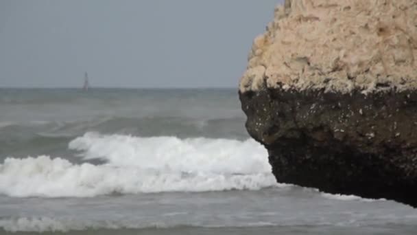 Olas en el mar — Vídeos de Stock