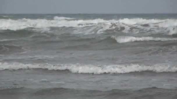 海の波 — ストック動画