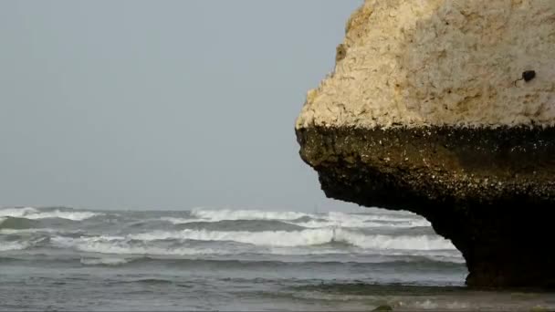 Rocha em um mar, lapso de tempo — Vídeo de Stock