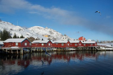Reine, Lofoten, Norveç