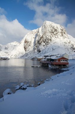 Sabah Hamnoya, Lofoten, Norveç