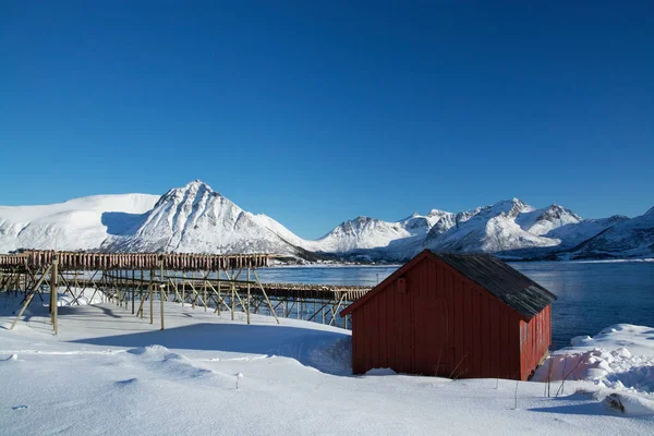 Barstrand, Lofoten, Noruega — Fotografia de Stock