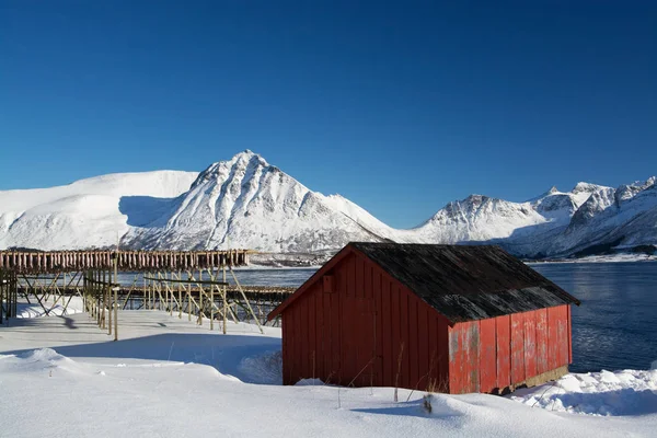 Barstrand, Lofoten, Norway — 图库照片