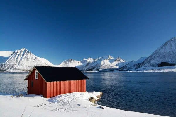 Barstrand, Lofoten, Norwegia — Stok Foto