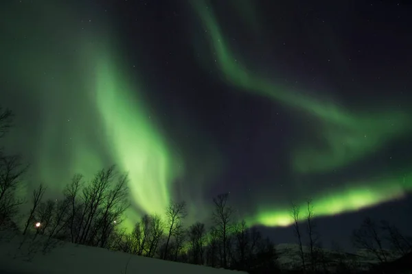 Noorderlicht in de buurt van Lyfjord, Noorwegen — Stockfoto