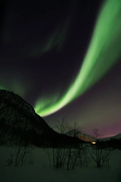 Luces boreales cerca de Lyfjord, Noruega —  Fotos de Stock