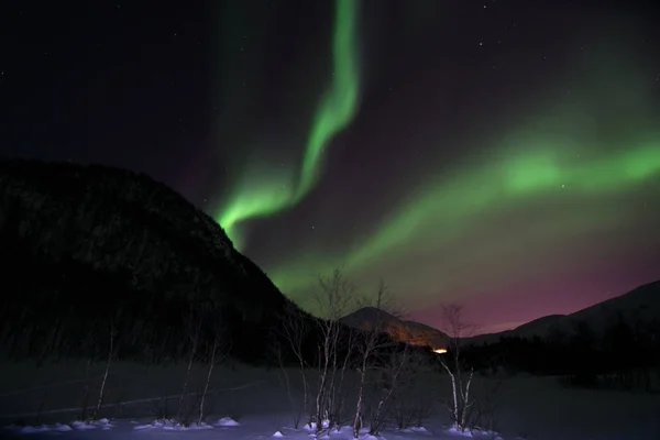 Kuzey ışıkları Lyfjord, Norveç — Stok fotoğraf