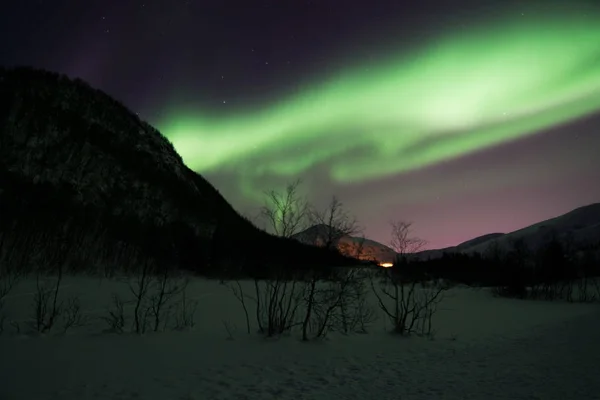 近く Lyfjord、ノルウェーのオーロラ — ストック写真