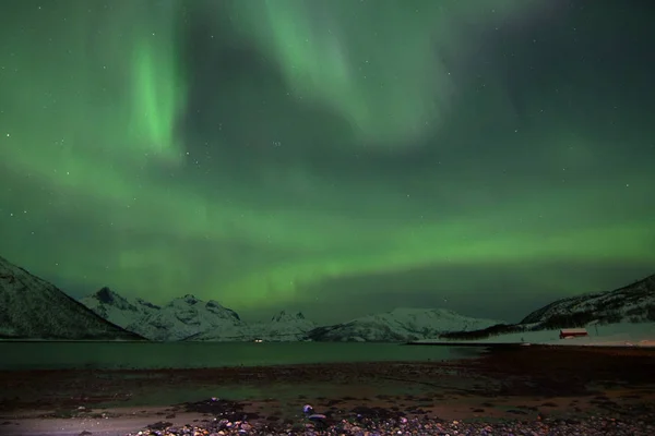 Luces del Norte en Lyfjord, Noruega —  Fotos de Stock