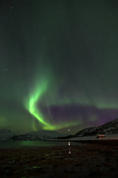 Luces del Norte en Lyfjord, Noruega —  Fotos de Stock