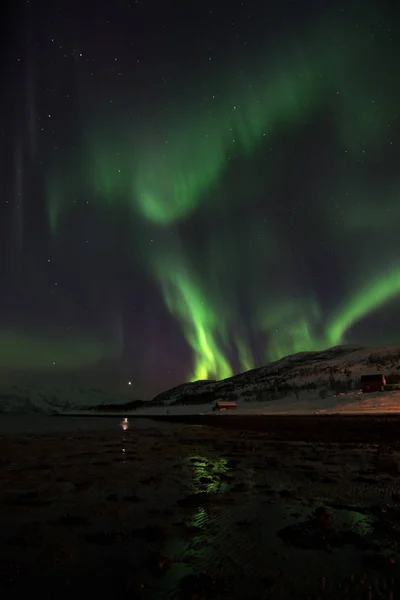 Luces del Norte en Lyfjord, Noruega —  Fotos de Stock