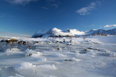 Frozen Fjord near Leknes, Lofoten, Norway clipart