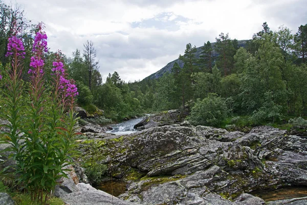 Fluss rauma, oppland, norwegen — Stockfoto