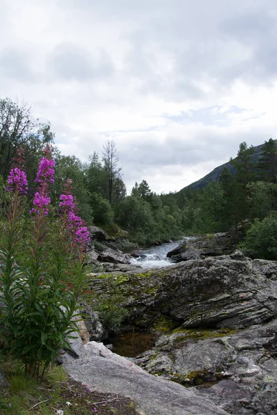 Sungai Rauma, Oppland, Norwegia — Stok Foto