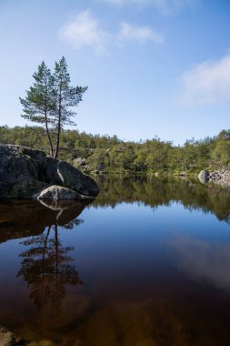 Preikestolen, Rogaland, Norveç için yol