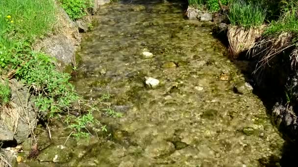 Kramsach、オーストリアの近くの水のホイール — ストック動画