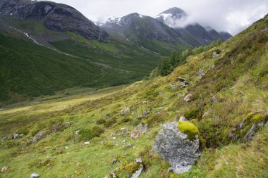 Landscape in Sogn og Fjordane, Norway